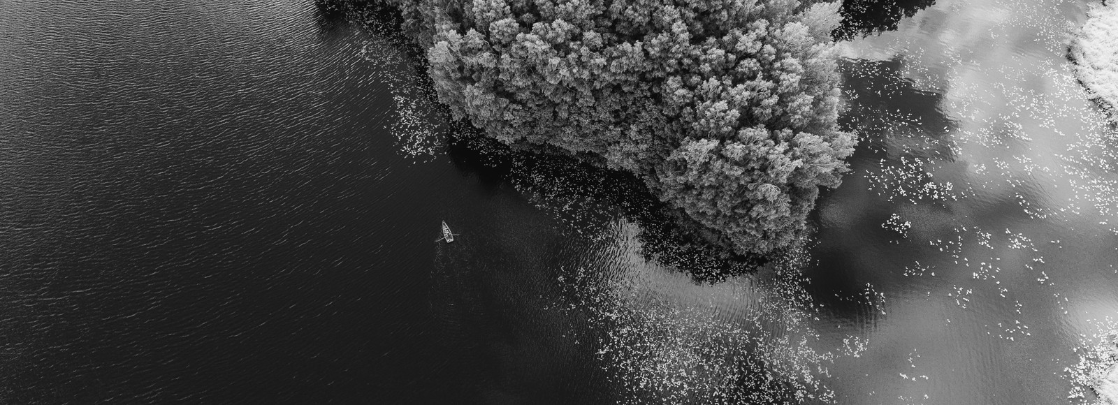 Aerial view of a lake